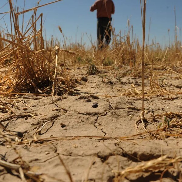 El Niño occasions have led to trillions in financial losses, and the…