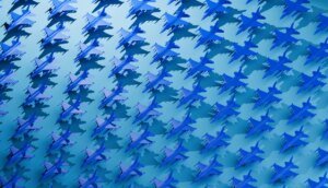Defense tech is flooded with cash, however who’s constructed to final?