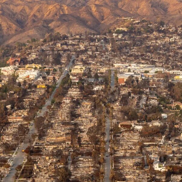 2025 was the most expensive wildfire yr in historical past—regardless of burning…