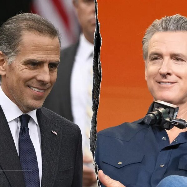 CNN panelist compares Hunter Biden, Newsom to Ninja Turtles pairing