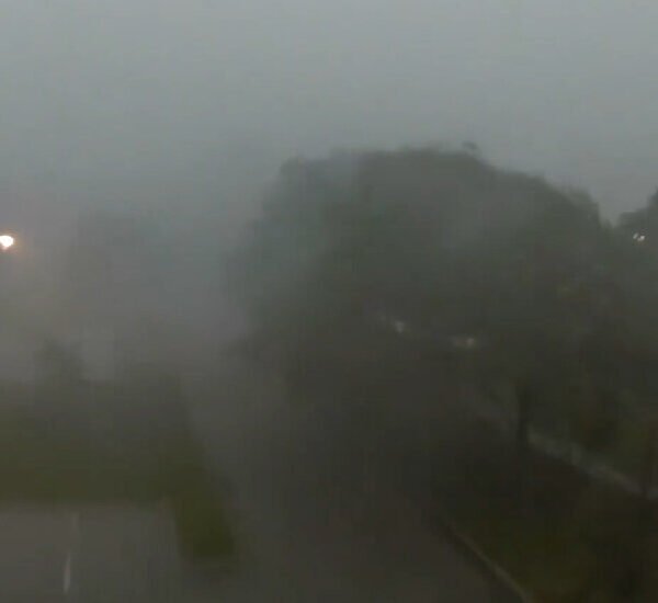 Tornadoes Are Reported in Illinois as Storms Sweep the Midwest