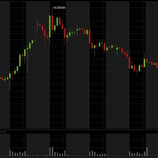 SpaceX shares are down 10% as Elon Musk faucets the bond market