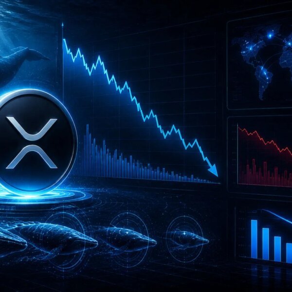 XRP Whale Activity Falls To A Four-Year Low – What Does It&hellip;