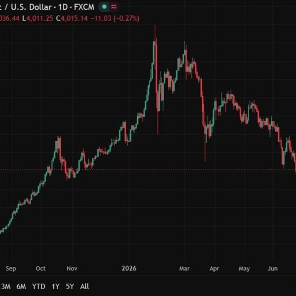 UBS targets $5,200/oz gold , sees present dip as shopping for alternative