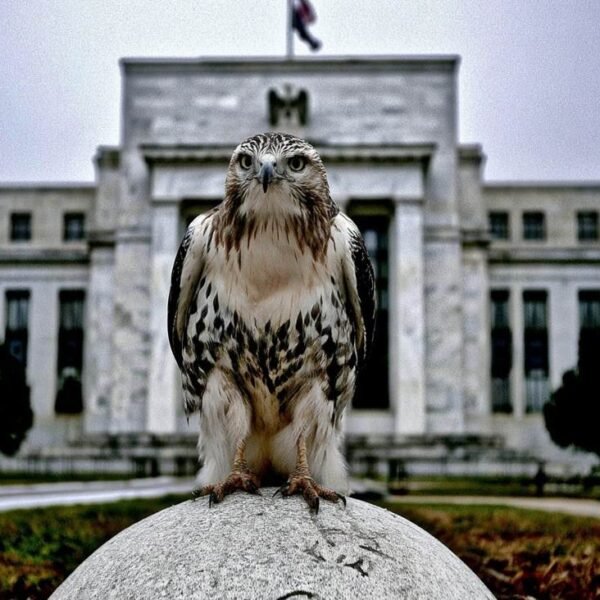 Markets shift in a hawkish route after the FOMC assertion and dot…