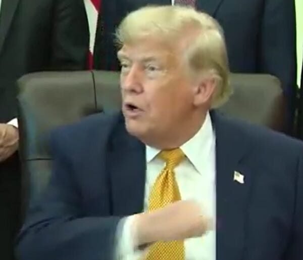 Trump Melts Down When Reporters Challenge His Reflecting Pool Vandalism Story