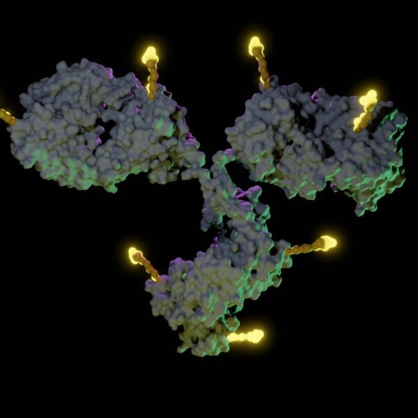 Antibody-Drug Conjugates: Not Quite Worked Out Yet (PFE)