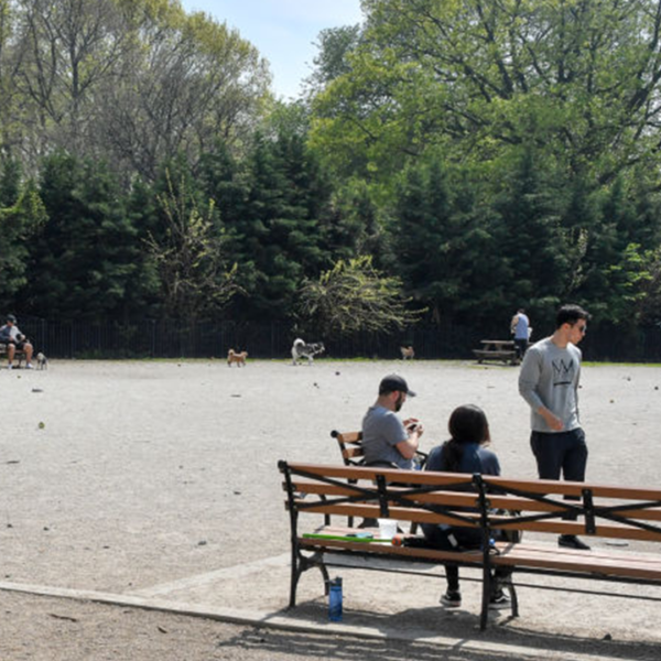 Man useless, one other crucial after double stabbing at Brooklyn park: NYPD