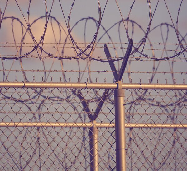 Opinion | If You Think ICE Detention is Bad Now, Privatization Will&hellip;