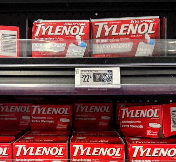 Appeals Court Revives Lawsuits Tying Tylenol Use in Pregnancy to Autism and…