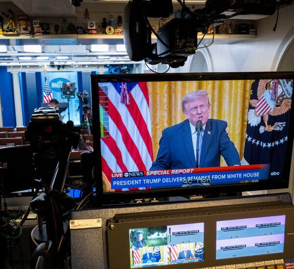 A Trump Obsession That Carries a Cost for Democracy