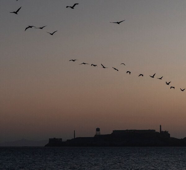 Mourning One Tragedy at Sea, a Family Is Devastated by Another