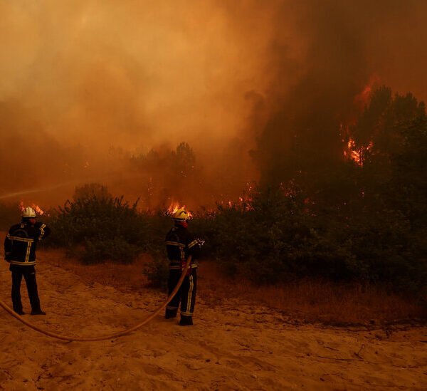 What to Know About the Deadly Wildfires Raging in Western Europe