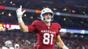 Cardinals TE Travis Vokolek retires from NFL after neck harm