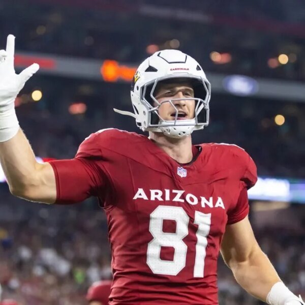 Cardinals TE Travis Vokolek retires from NFL after neck harm