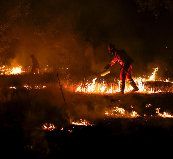 Summer of Heat, Fires and Storms Is a Reckoning for Europe on…