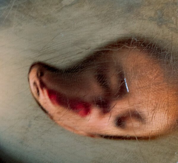 FaceTime, Zoom and Ring Cameras Are Warping Our Reality