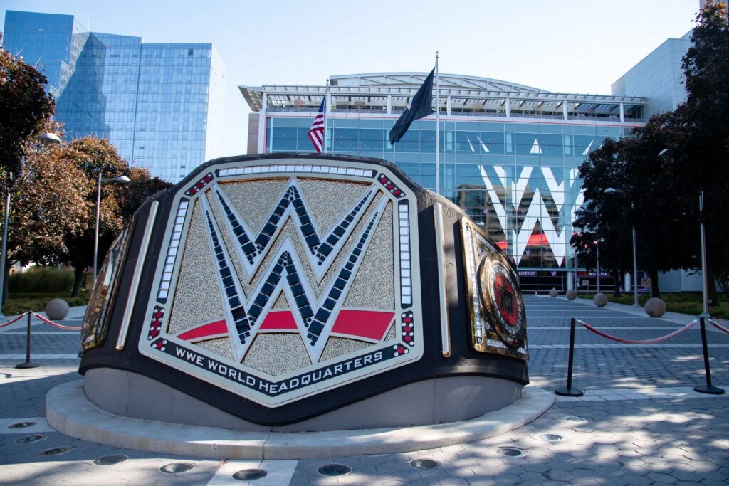 WWE star has a backup plan exterior of the corporate if he does not grow to be World Champion