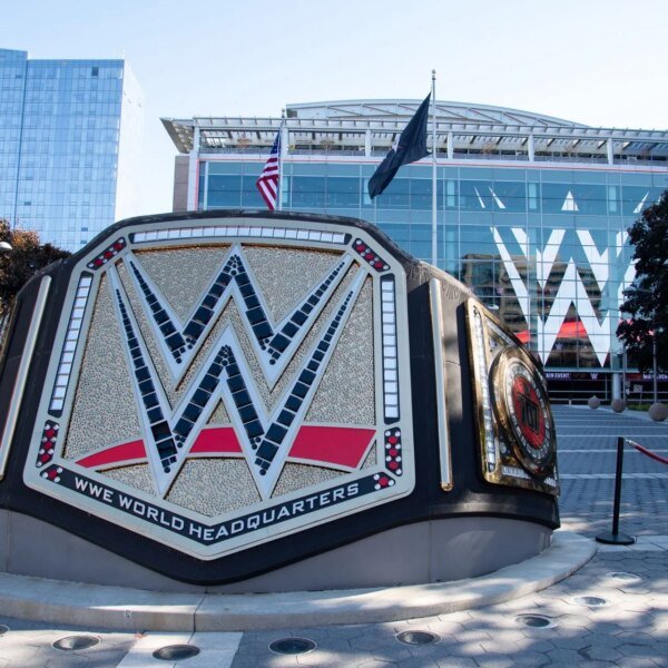 WWE star has a backup plan exterior of the corporate if he…