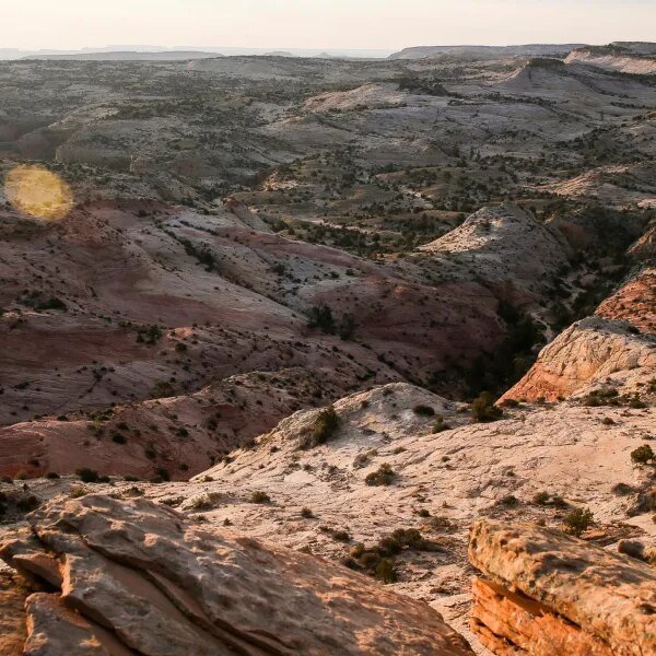 Trump reduces dimension of two nationwide monuments by 90% in efforts to&hellip;