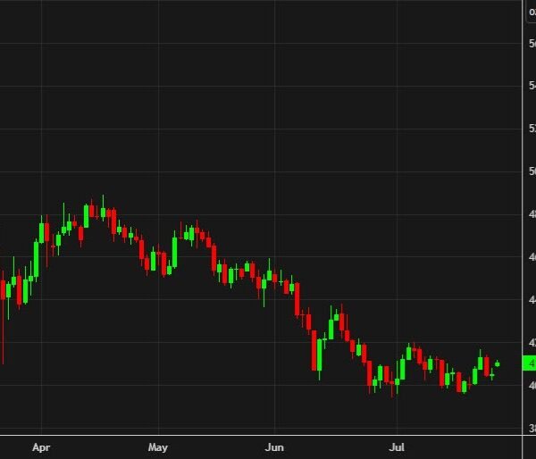 Gold cheers the halt to combating in Iran