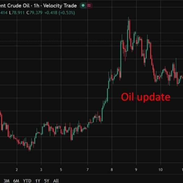 China’s ‘teapot’ unbiased refiners purchase Qatari, Iraqi and UAE oil over Iranian