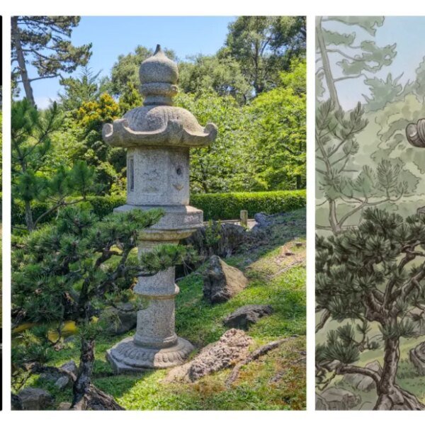 Adobe digicam app’s new function will critique your photographs utilizing AI