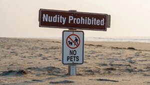 Historic nude seashore in California is placing its garments on when it opens later this month