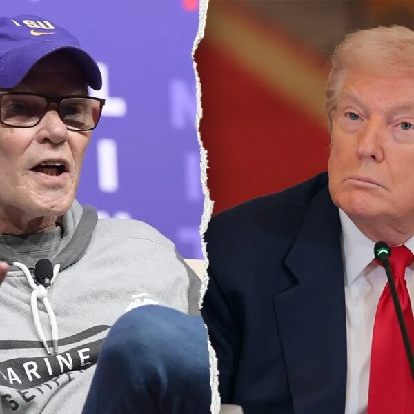 James Carville blames far-left Democrats for serving to Trump in 2016