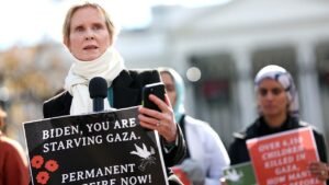 Cynthia Nixon named to New York courtroom nomination panel, drawing mockery