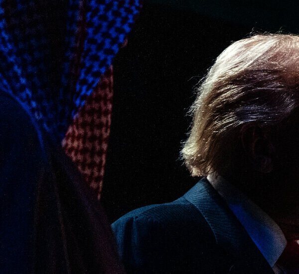 Trump Is Pushing Nuclear Energy, Including Saudi Deal. His Family and Supporters…