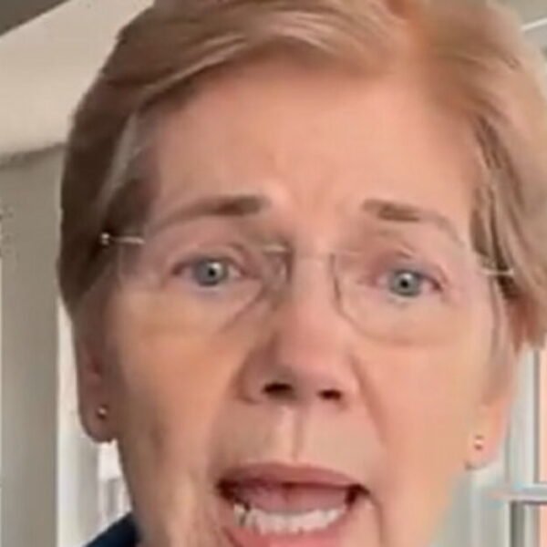 Elizabeth Warren Endorses Radical DSA Candidate in Michigan Senate Race, is Reminded…