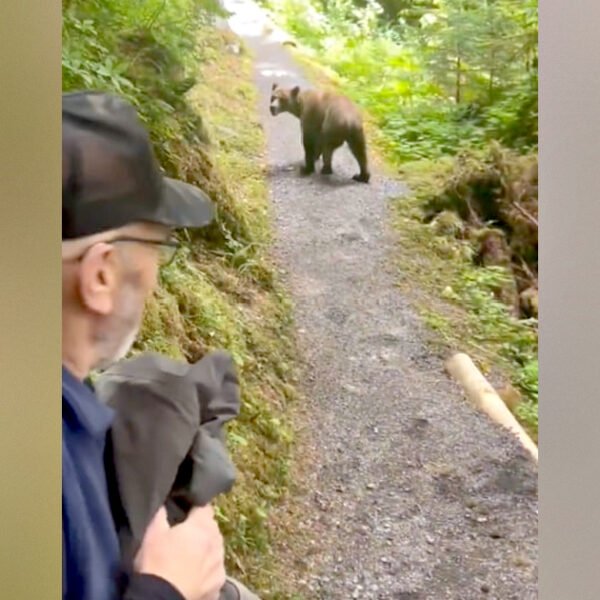 Hikers in Alaska Have Face-to-Face Encounter With Grizzly Bear in Terrifying Moment…