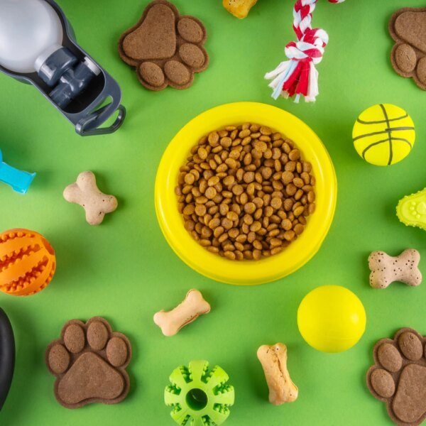 Chewy Stock: A Discount The Numbers Don’t Justify (NYSE:CHWY)