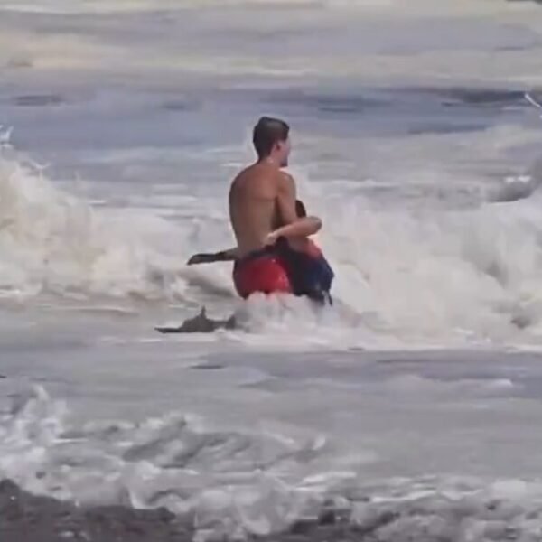 Eric Trump Calls For 16-Year-Old Lifeguard Who Rescued Boy From Violent California&hellip;