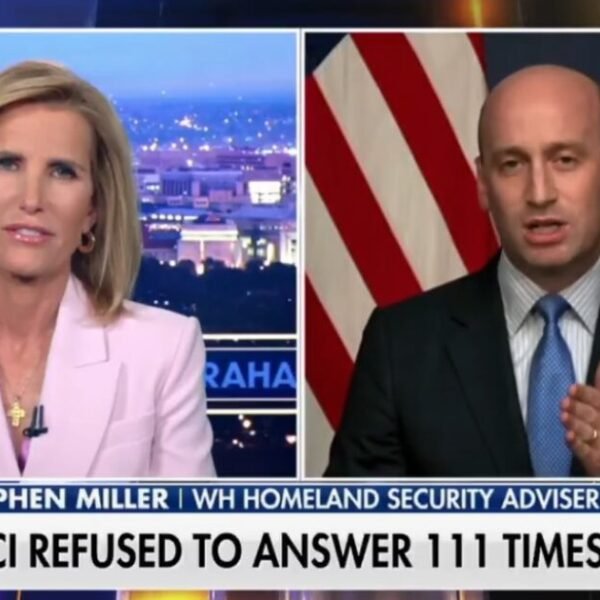 Stephen Miller Goes Off on Dr. Fauci After Explosive Senate Hearing (VIDEO)…