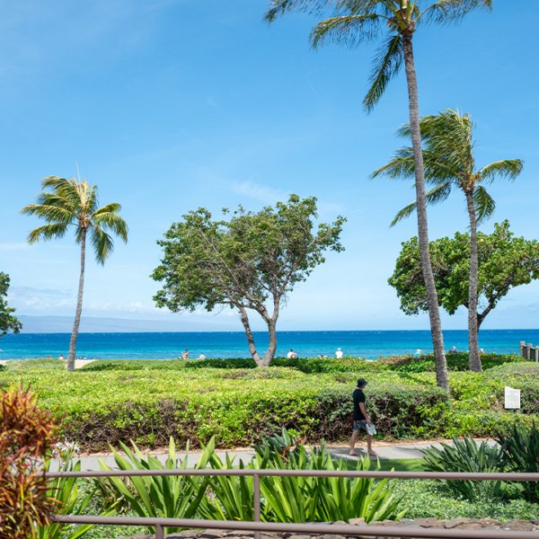 Luxury resort melee leaves household demanding solutions over alleged hate assault