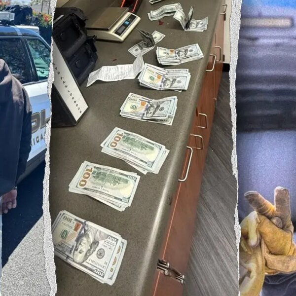 California males allegedly took selfies throughout housebreaking of $100K in instruments, copper