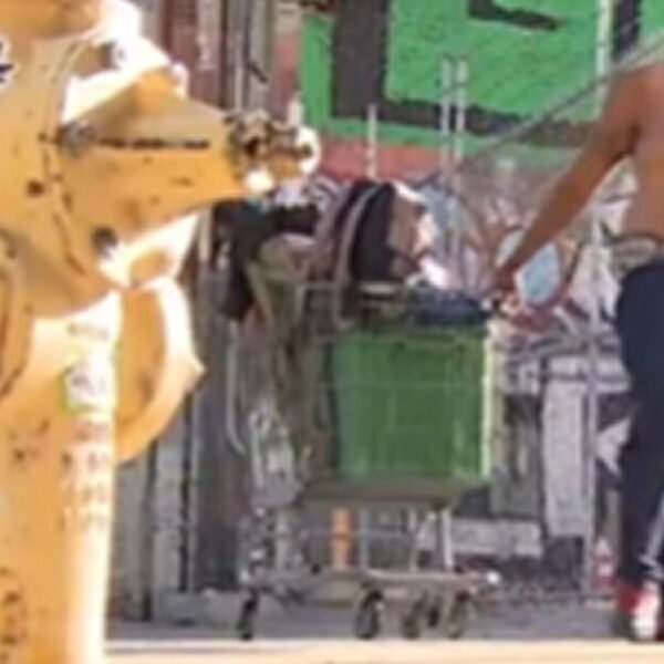 REPORT: The Number of Homeless People in Los Angeles is RISING Despite&hellip;