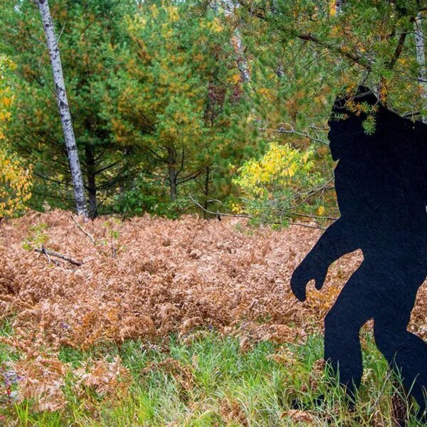 Dad and his youngsters suppose they’ve captured Bigfoot on video after recognizing…