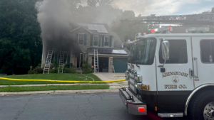 Dog by accident activates toaster, killing 3 pets in Maryland fireplace