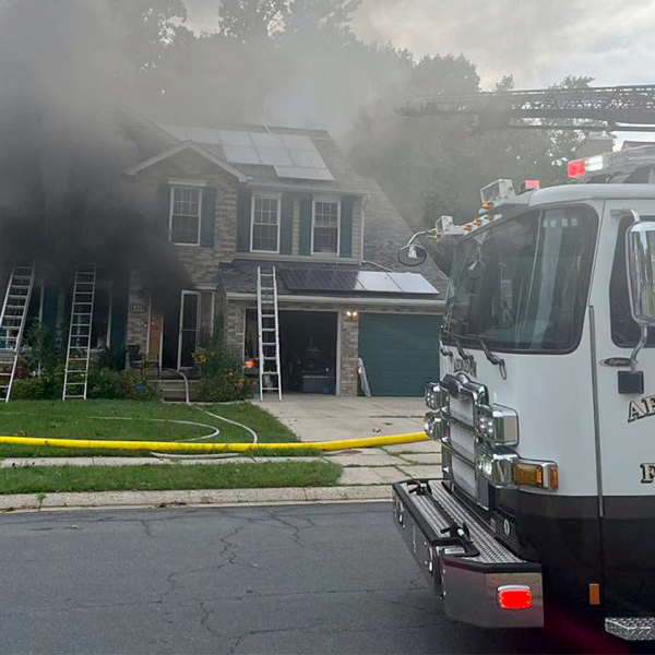 Dog by accident activates toaster, killing 3 pets in Maryland fireplace