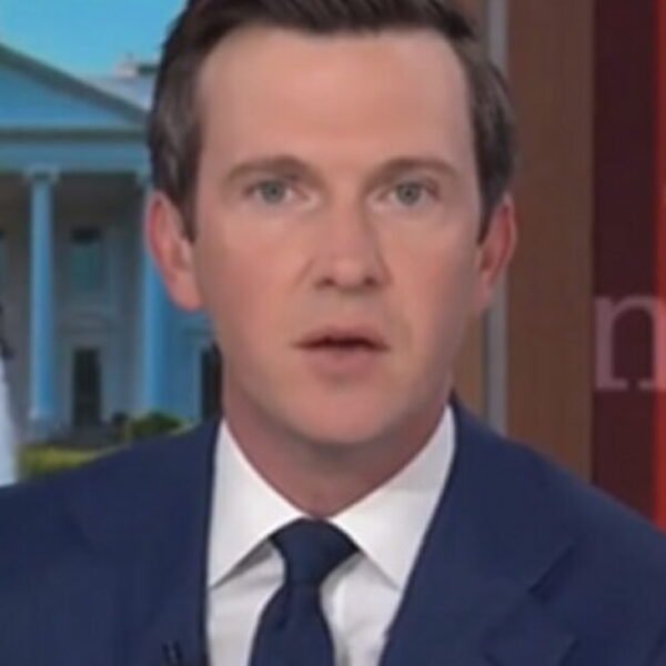 MSNOW Reporter Says Trump Just Doesn’t Understand That ‘Journalism is a Form&hellip;