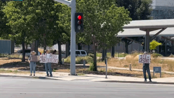 Humans First enlists Green Party figures for information middle protests