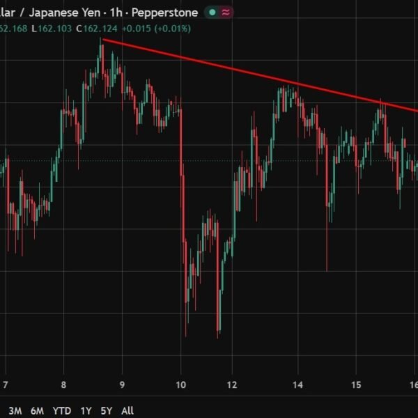 Japan finance minister repeats FX warning as yen hovers round 162