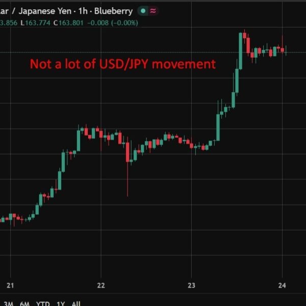 Japan finmin Katayama alerts readiness for decisive foreign exchange motion on yen
