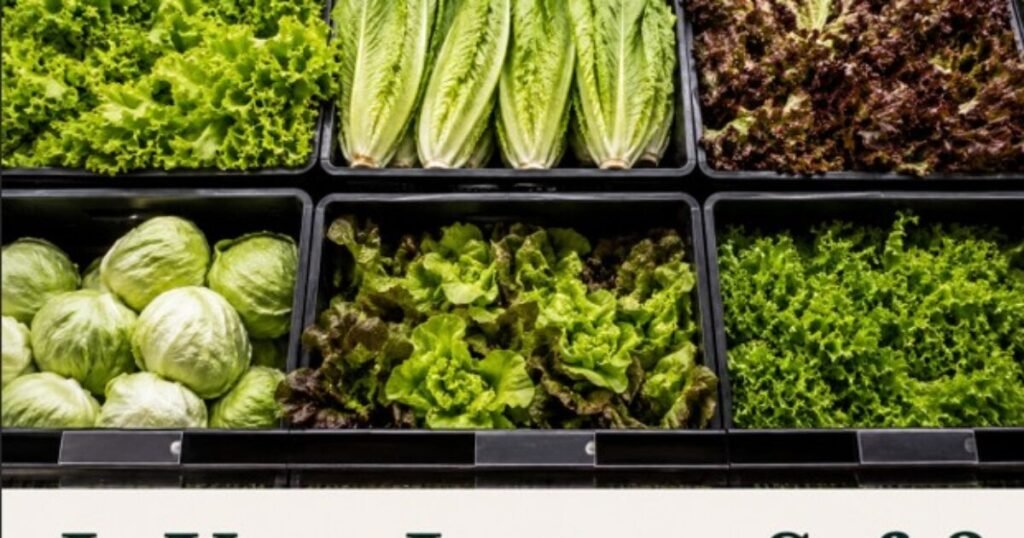 Is Your Lettuce Safe to Eat? Is Any of Your Produce Safe? * The Gateway Pundit * by Promoted Post