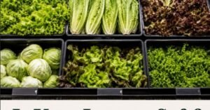 Is Your Lettuce Safe to Eat? Is Any of Your Produce Safe? * The Gateway Pundit * by Promoted Post
