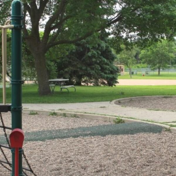 Republican Lawmakers Demand Action After Somali Gangs Open Fire in Minnesota Park…