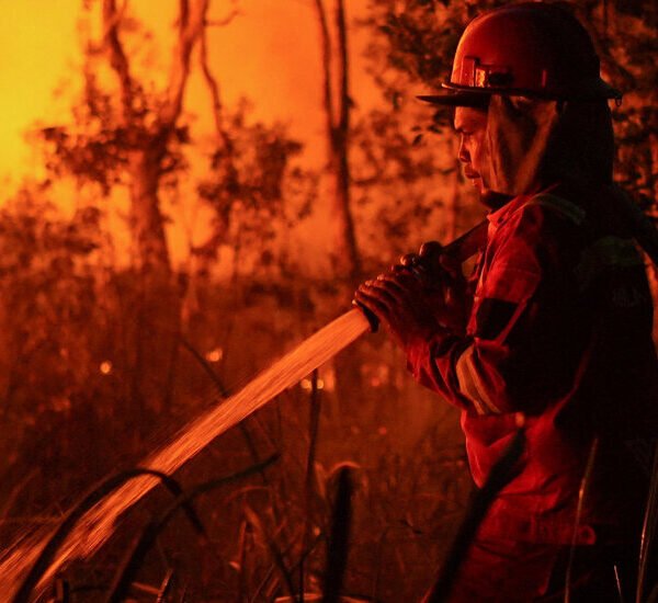 As El Niño Dries Indonesia, Wildfires Intensify